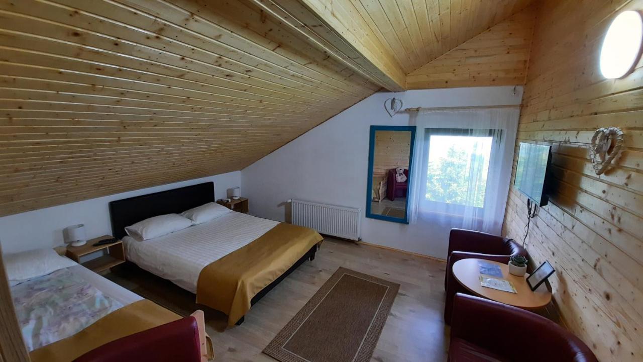 Casa De Vacanta Two Brothers Concept Păltiniş Buitenkant foto
