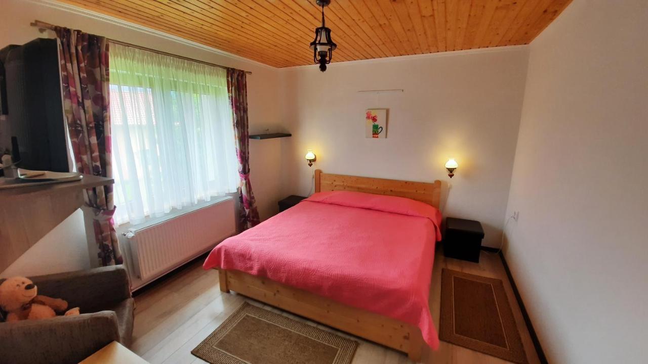 Casa De Vacanta Two Brothers Concept Păltiniş Buitenkant foto