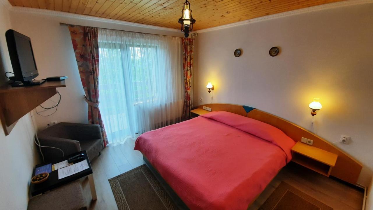 Casa De Vacanta Two Brothers Concept Păltiniş Buitenkant foto