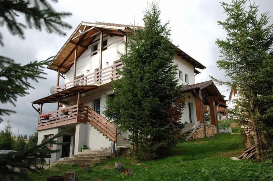 Casa De Vacanta Two Brothers Concept Păltiniş Buitenkant foto