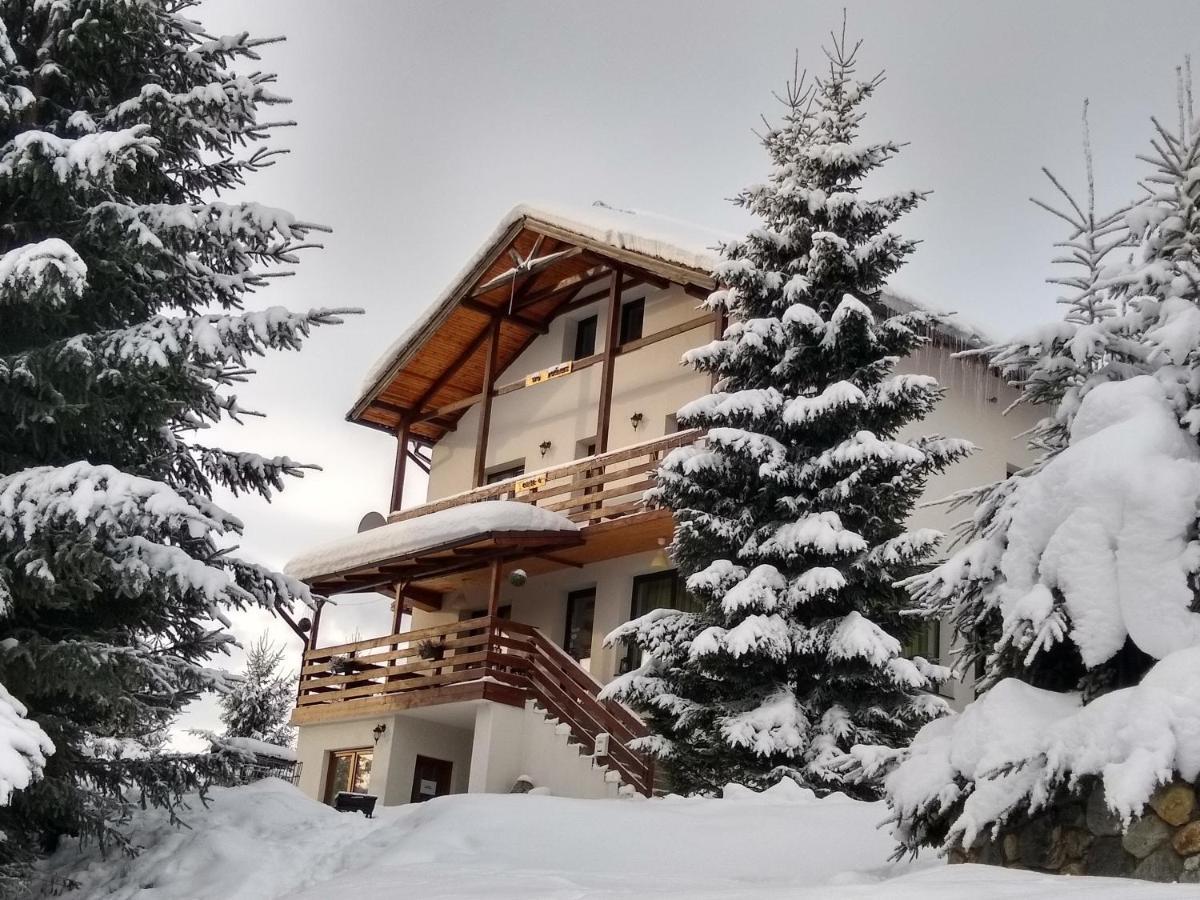 Casa De Vacanta Two Brothers Concept Păltiniş Buitenkant foto