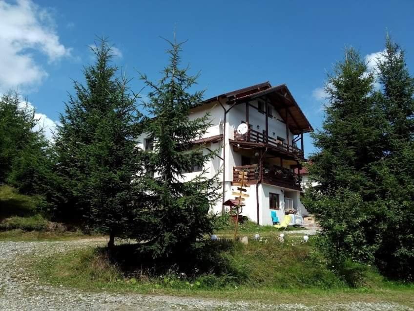 Casa De Vacanta Two Brothers Concept Păltiniş Buitenkant foto