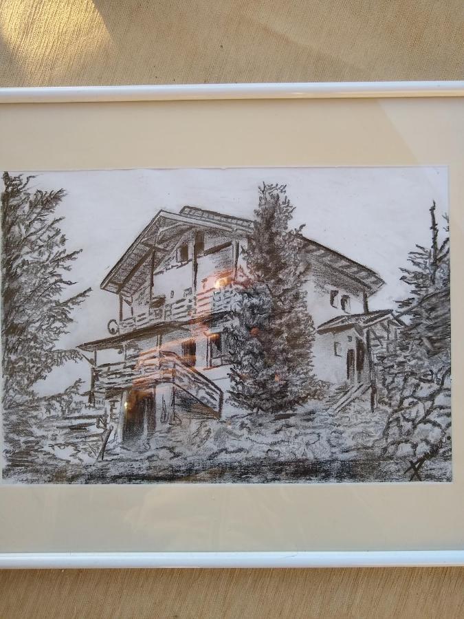Casa De Vacanta Two Brothers Concept Păltiniş Buitenkant foto