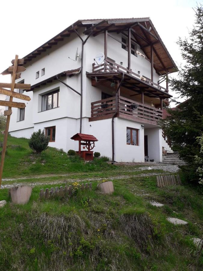 Casa De Vacanta Two Brothers Concept Păltiniş Buitenkant foto