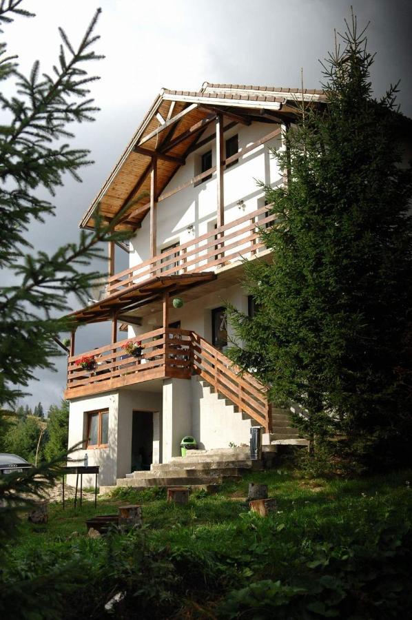 Casa De Vacanta Two Brothers Concept Păltiniş Buitenkant foto