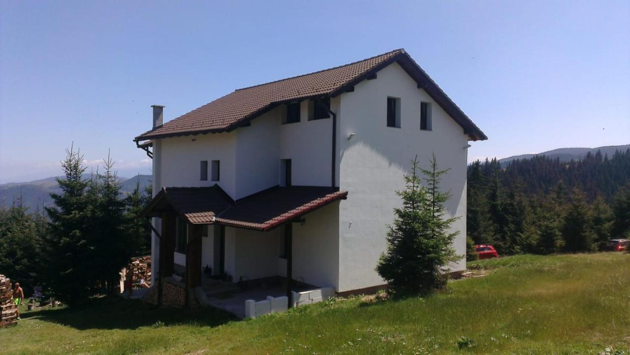 Casa De Vacanta Two Brothers Concept Păltiniş Buitenkant foto